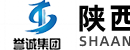 陕西誉诚实业集团有限公司